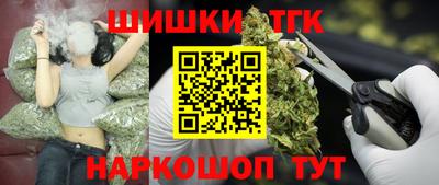 Альфа ПВП Камышлов